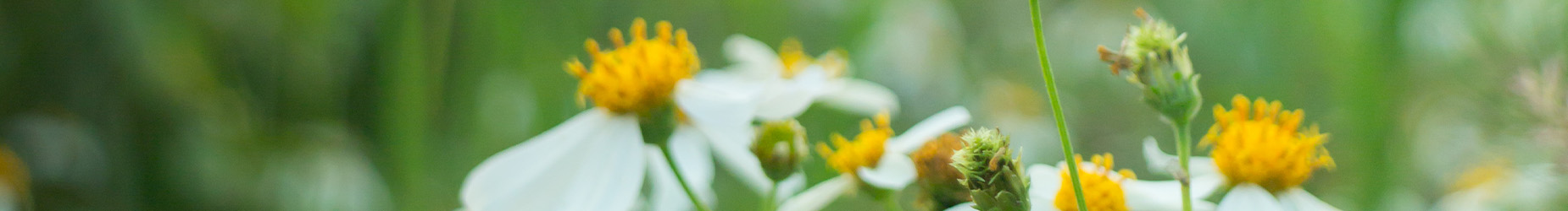 あんみアフタースクールに通うお子様の保護者からのお声